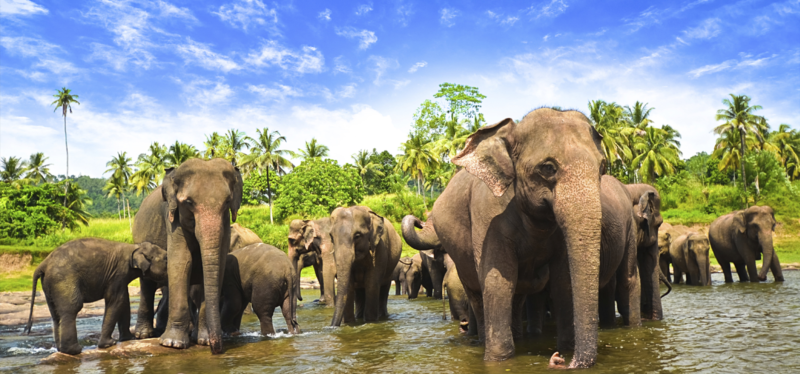 Sri-Lanka